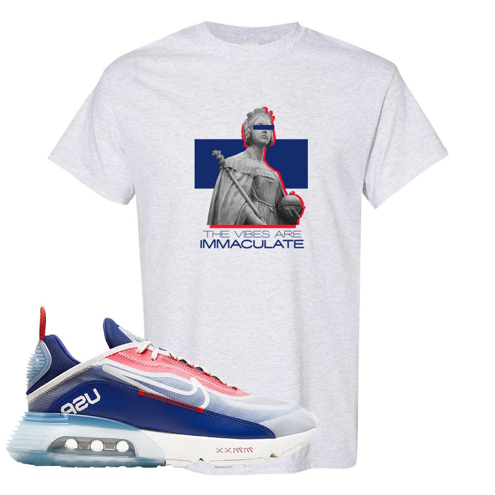 Team USA 2090s T Shirt | The Vibes Are Immaculate, Ash