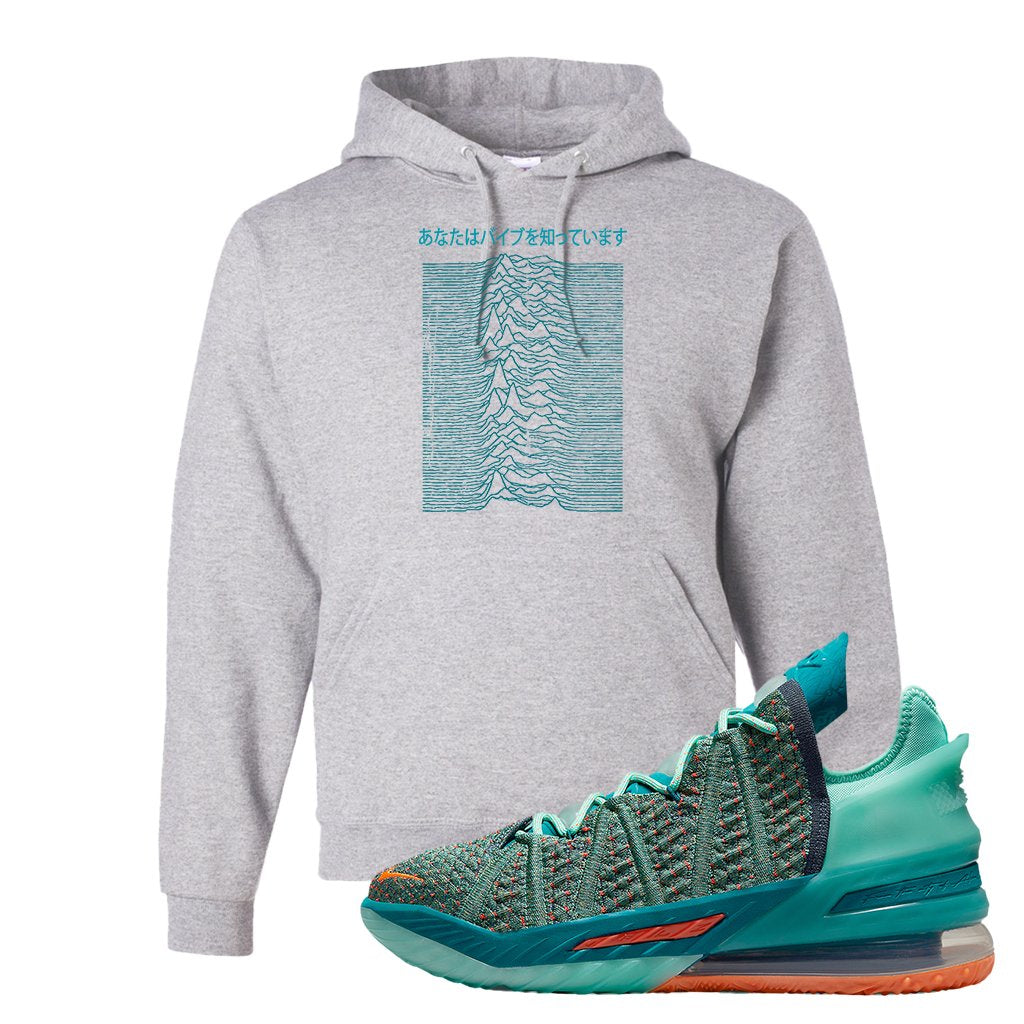 Lebron 18 We Are Family Hoodie | Vibes Japan, Ash