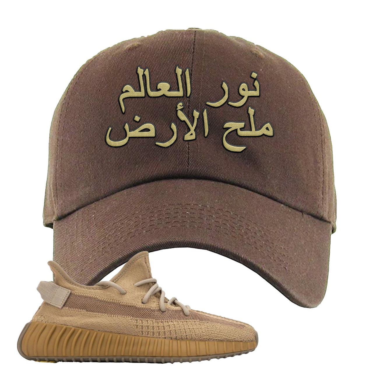 Earth v2 350s Dad Hat | Salt of the Earth, Brown