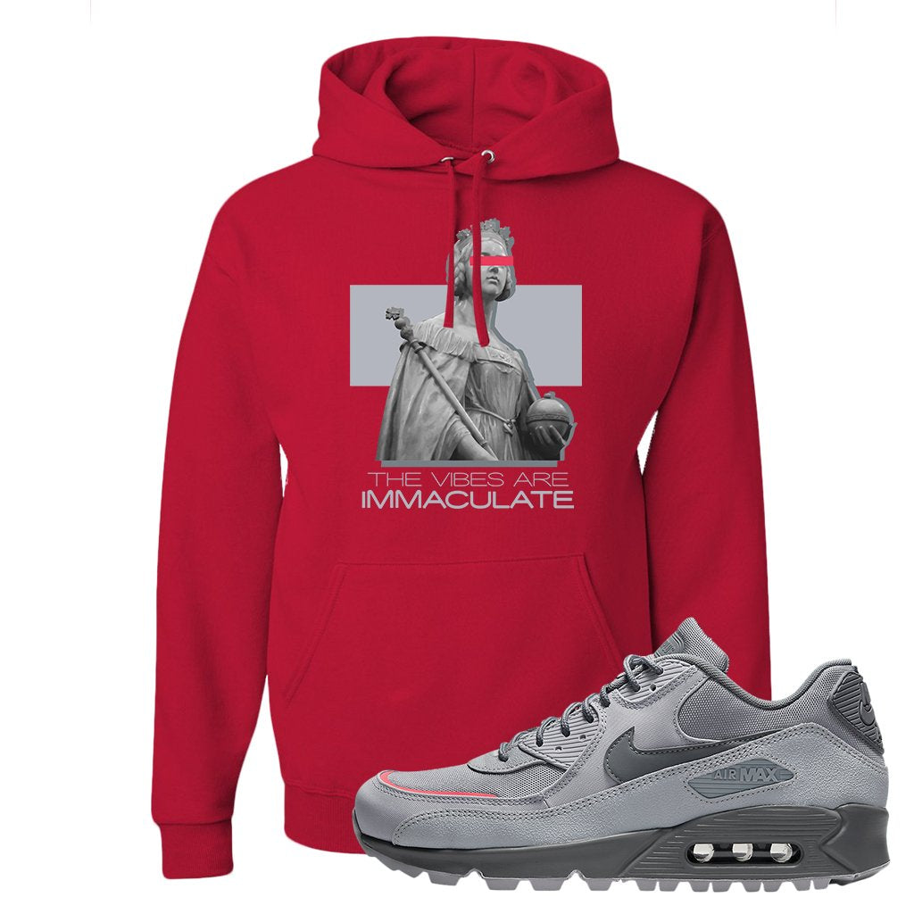 Wolf Grey Surplus 90s Hoodie | The Vibes Are Immaculate, Red