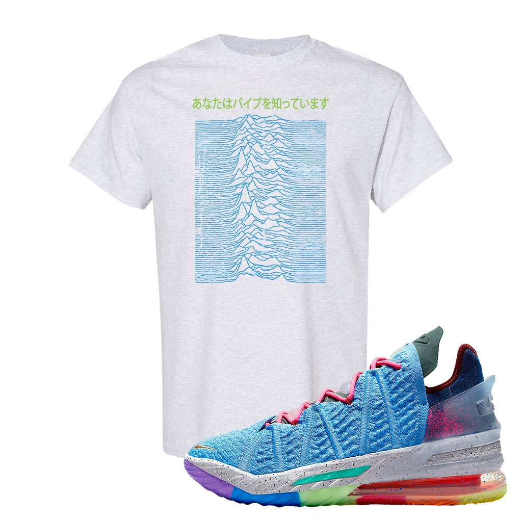 Lebron 18 Best 1-9 T Shirt | Vibes Japan, Ash