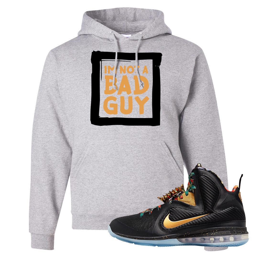 Throne Watch Bron 9s Hoodie | I'm Not A Bad Guy, Ash