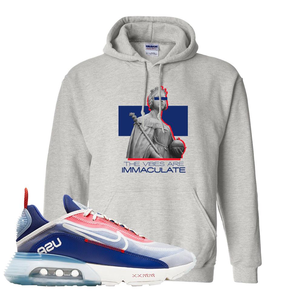 Team USA 2090s Hoodie | The Vibes Are Immaculate, Ash