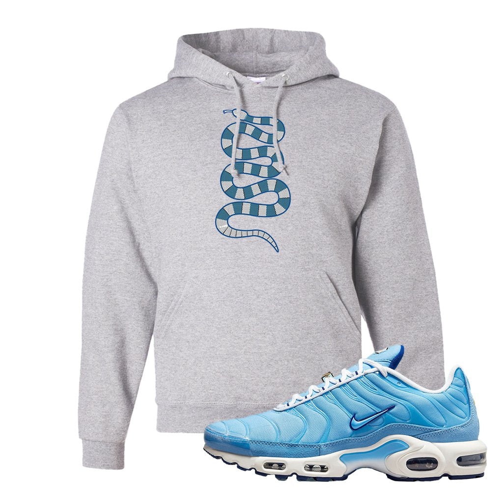 Air Max 1 First Use University Blue Hoodie | Coiled Snake, Ash
