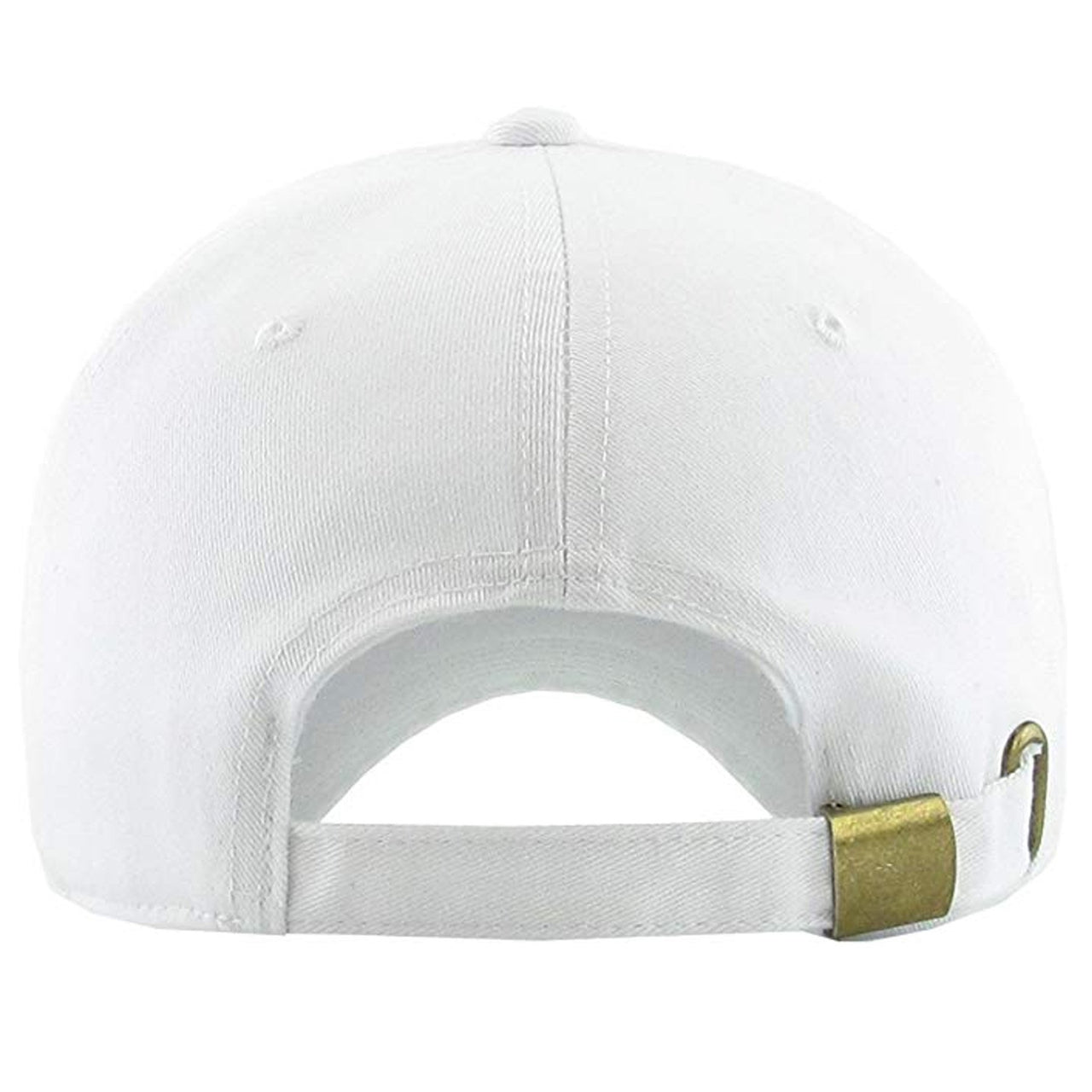 Inertia 700s Dad Hat | 700, White