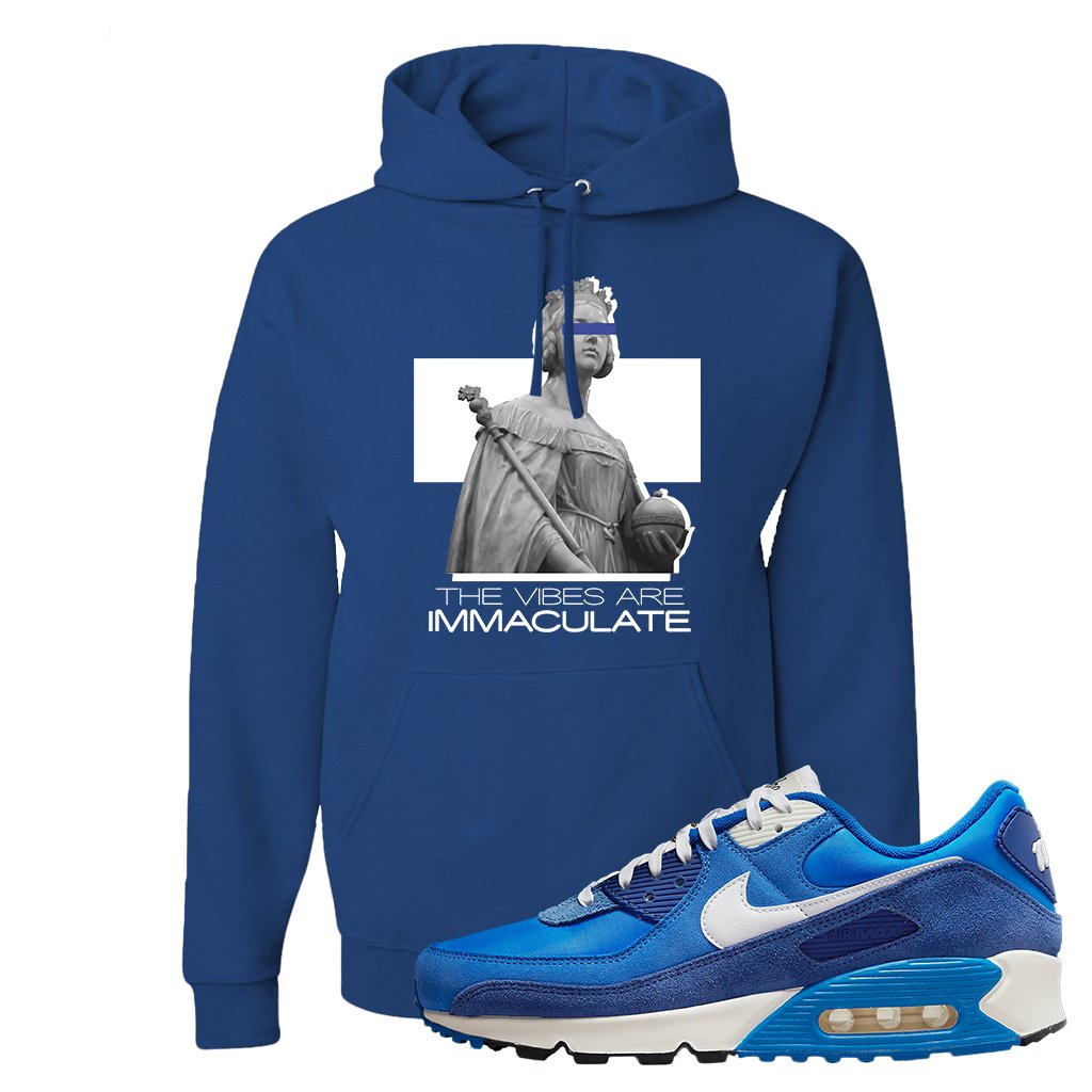 Air Max 90 First Use Hoodie | The Vibes Are Immaculate, Royal