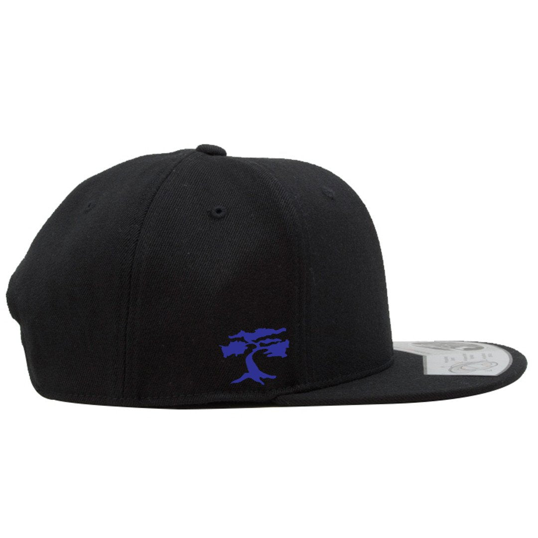 on the wearer's right side of the foot clan jordan 45 snapback hat there is a blue bonsai tree