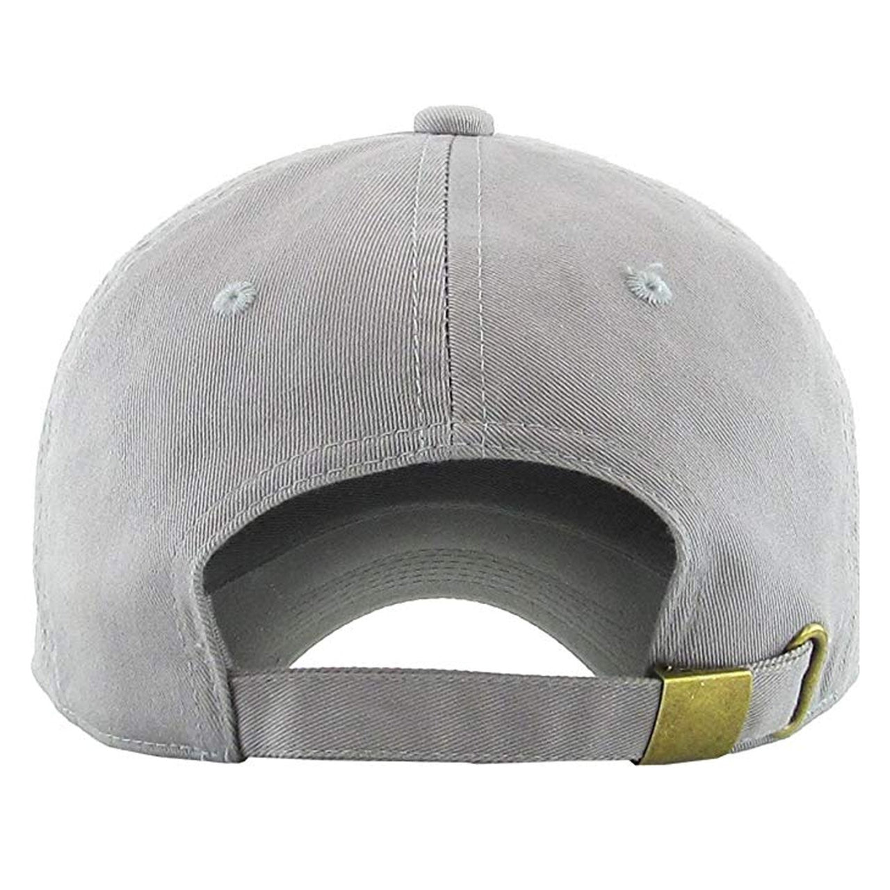 Inertia 700s Distressed Dad Hat | Wave Runner, Light Gray