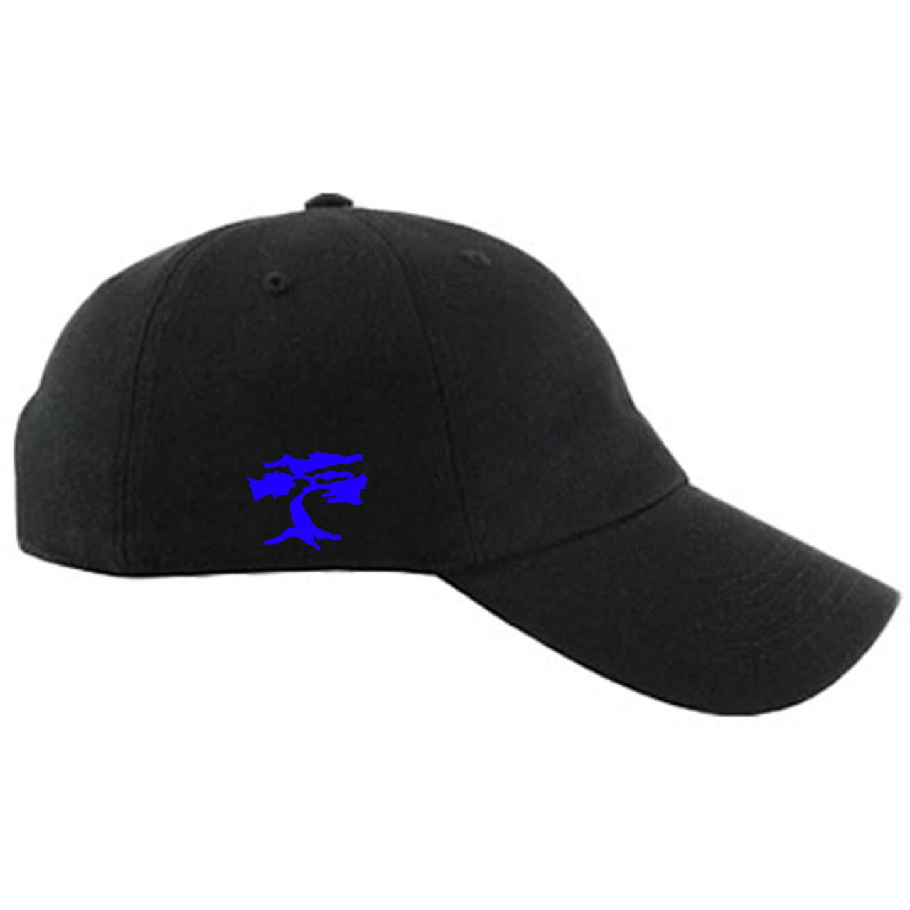 Alternative Laney JSP 5s Distressed Dad hat | 23, Black