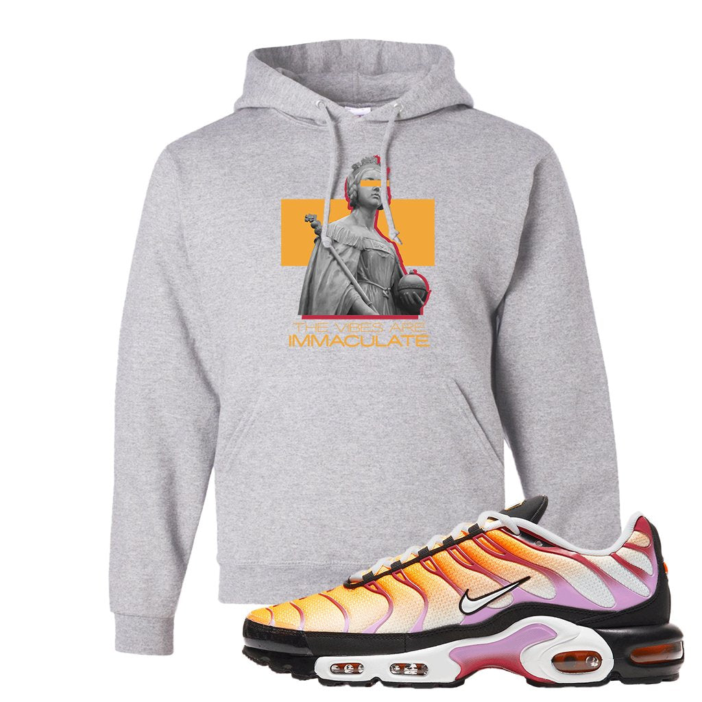 Air Max Plus Laser Orange Siren Red Fuchsia Glow Hoodie | The Vibes Are Immaculate, Ash