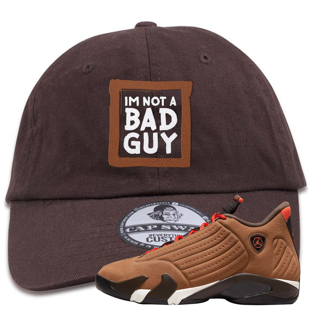 Winterized 14s Dad Hat | I'm Not A Bad Guy, Brown