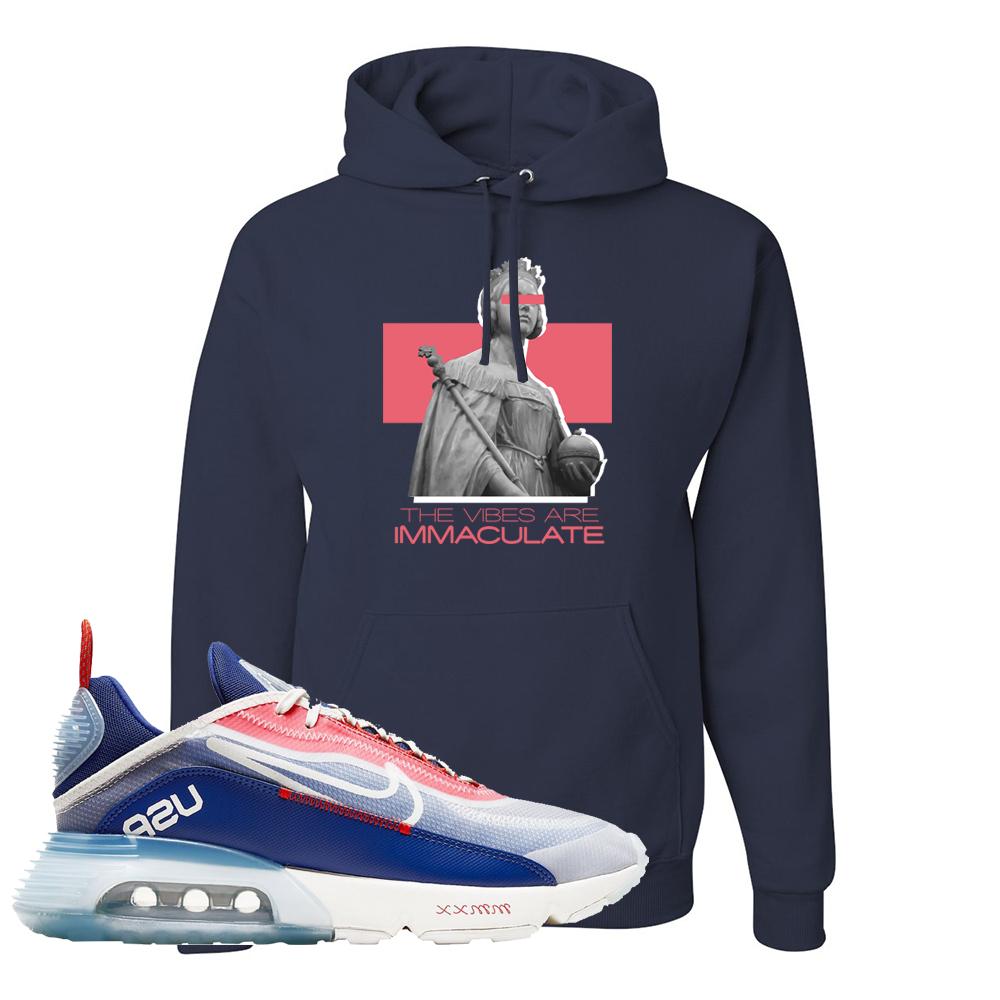 Team USA 2090s Hoodie | The Vibes Are Immaculate, Navy