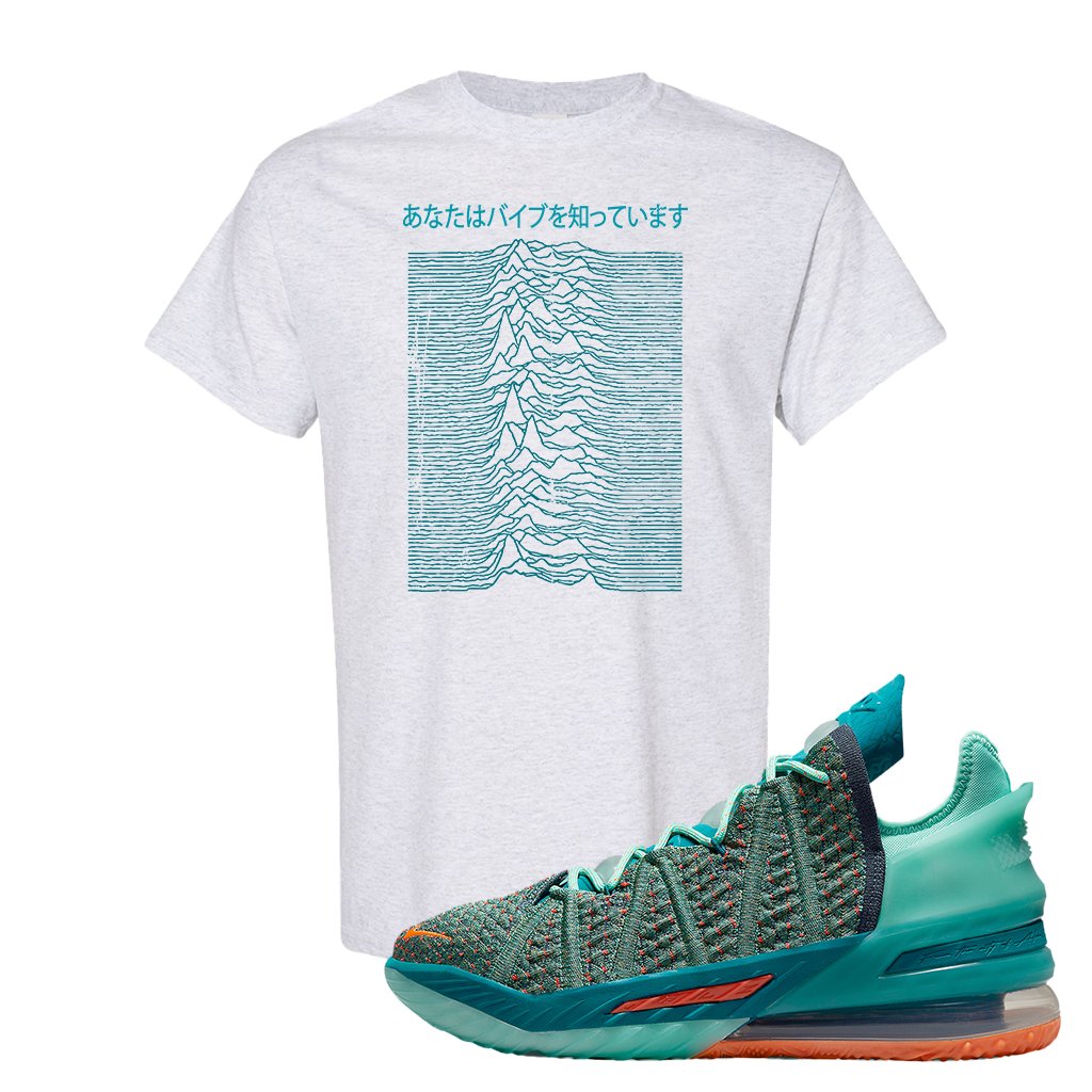 Lebron 18 We Are Family T Shirt | Vibes Japan, Ash