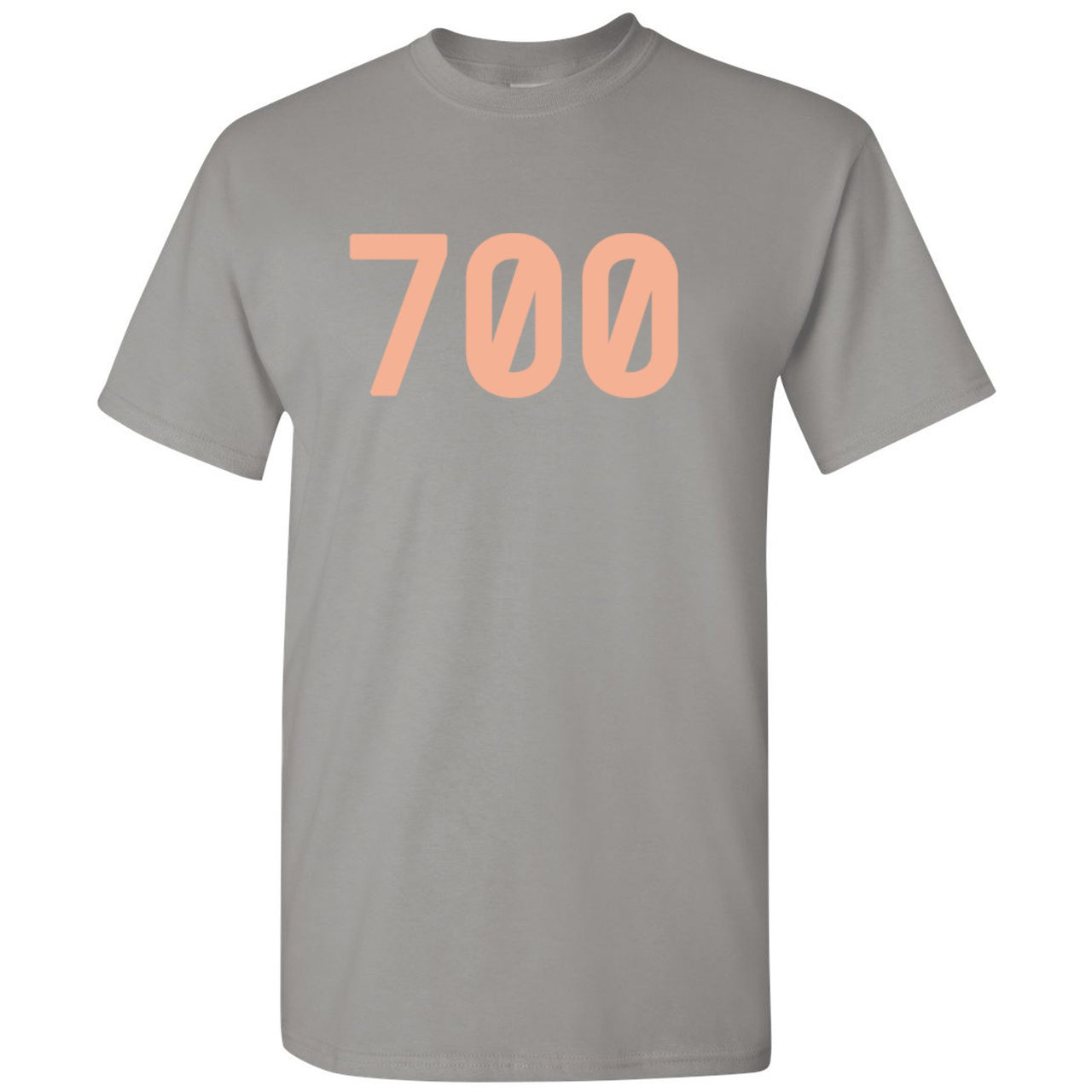 Inertia 700s T Shirt | 700, Light Gray