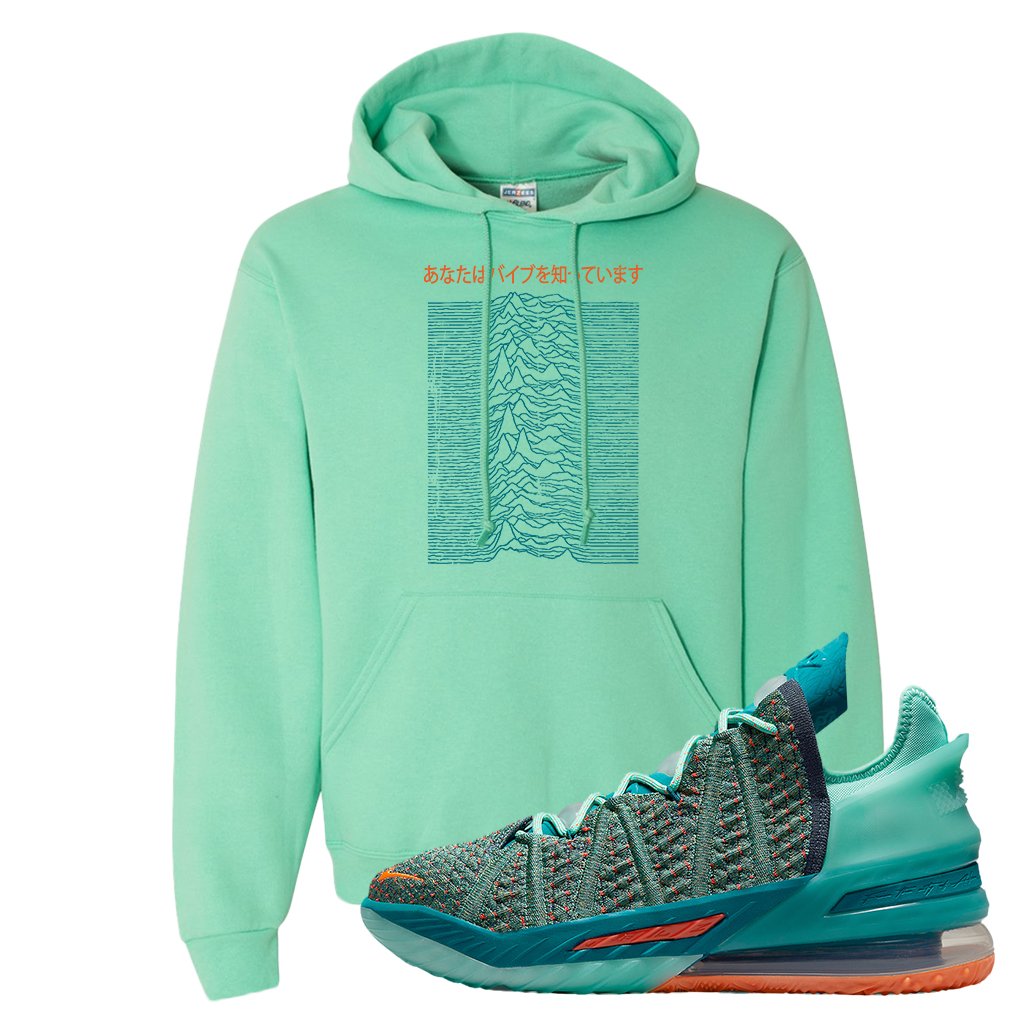 Lebron 18 We Are Family Hoodie | Vibes Japan, Cool Mint