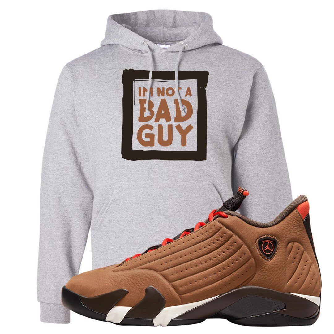 Winterized 14s Hoodie | I'm Not A Bad Guy, Ash